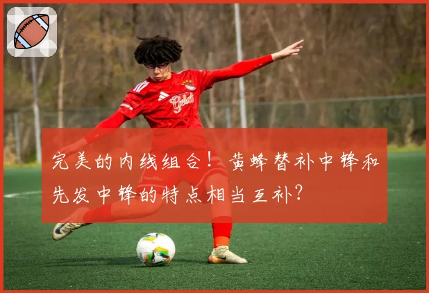 完美的内线组合！黄蜂替补中锋和先发中锋的特点相当互补？