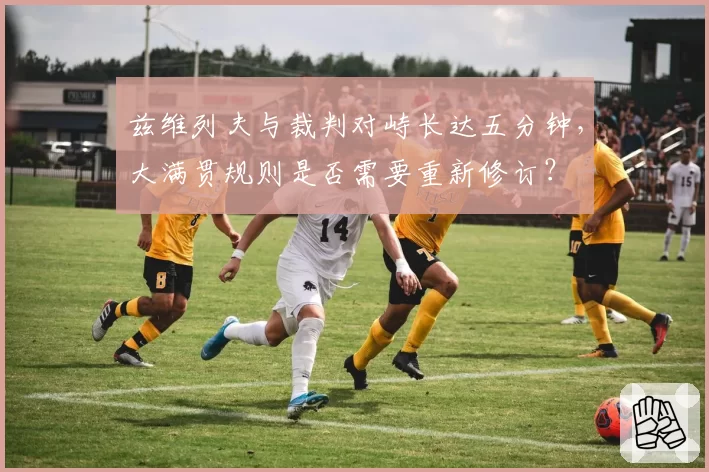 兹维列夫与裁判对峙长达五分钟，大满贯规则是否需要重新修订？
